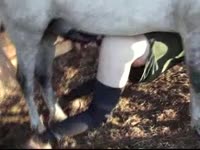 Hot farm girl gets fucked in the ass in the horse porn video